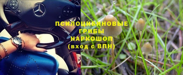 кокс Баксан