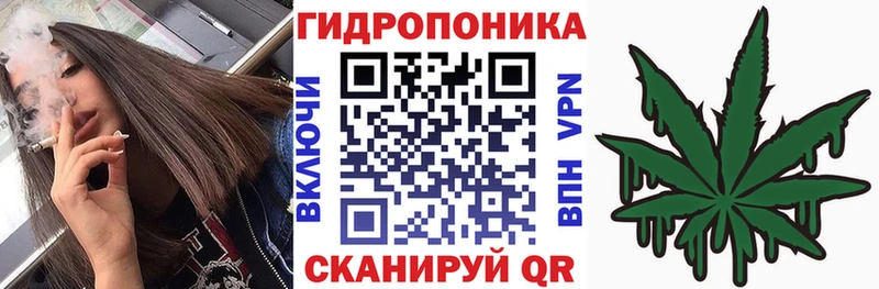 дарк нет официальный сайт  omg ссылки  Гагарин  Бошки Шишки сатива 